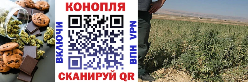 как найти закладки  Демидов  Cannafood конопля 